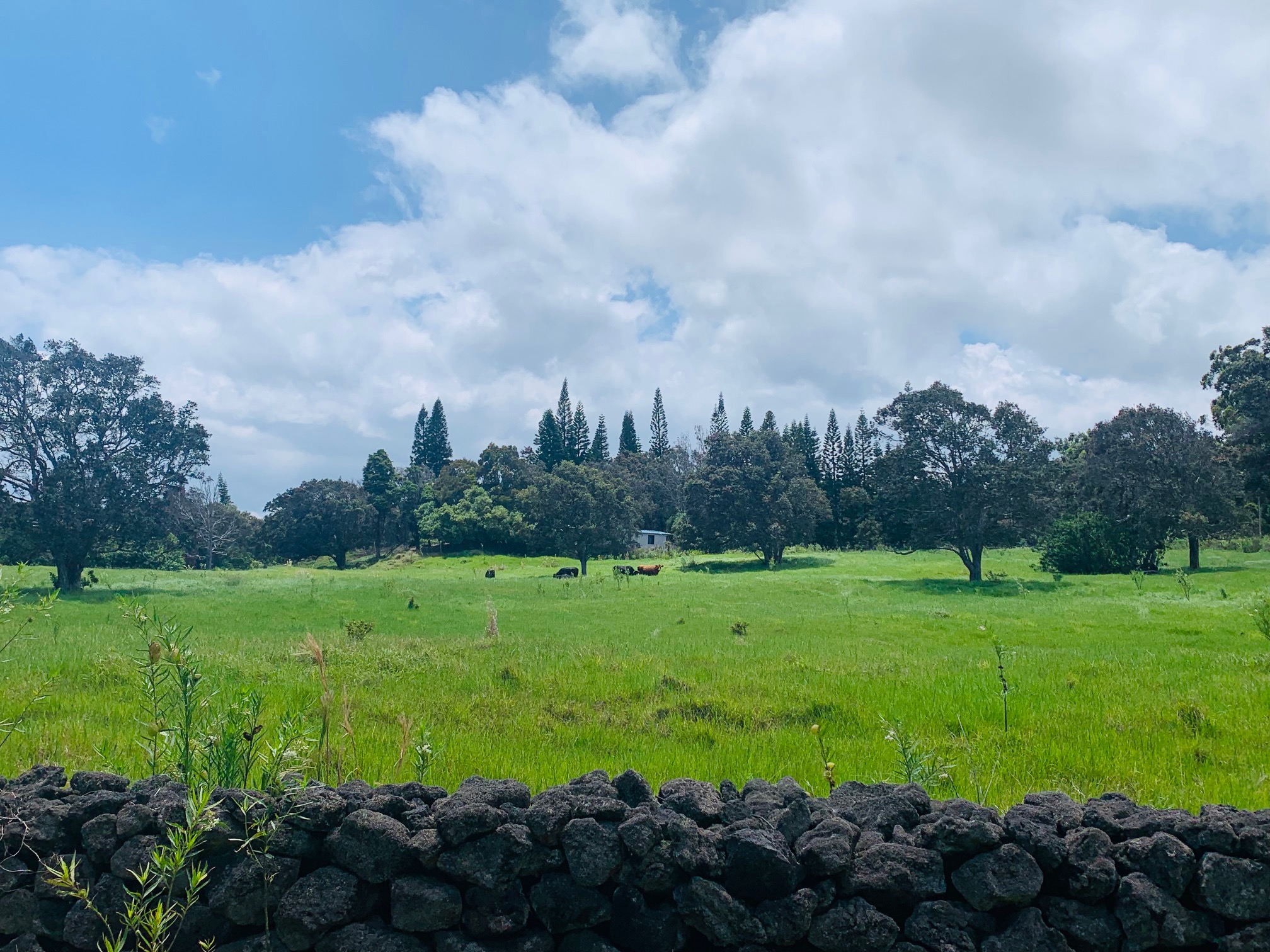 Discovery Harbour Real Estate Discovery Harbour Homes for Sale