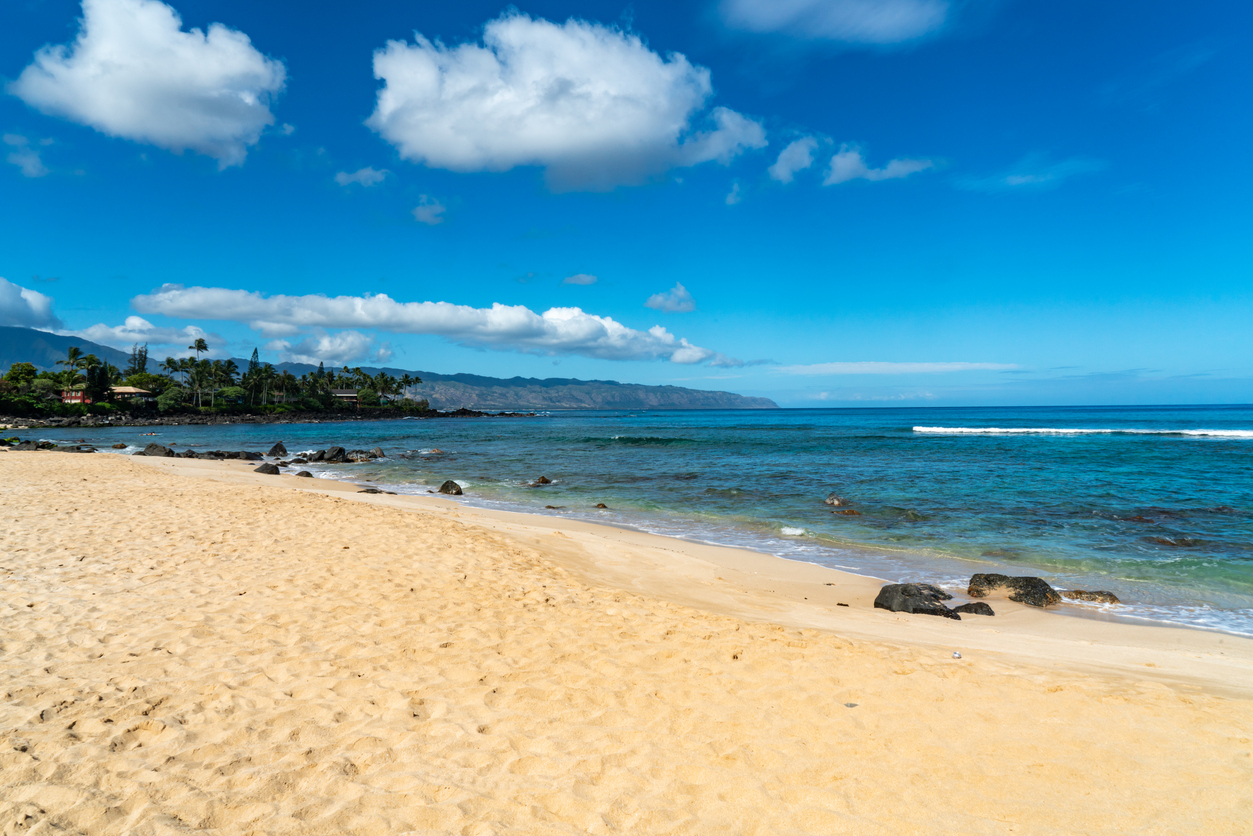 Kawailoa North Shore