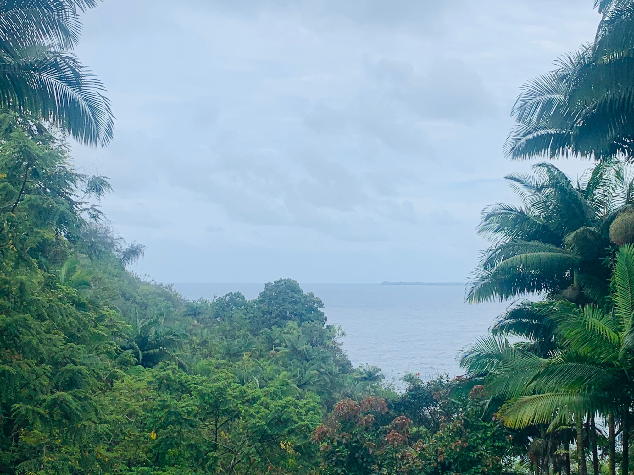 North Hilo Vacant Land & Lot Parcels