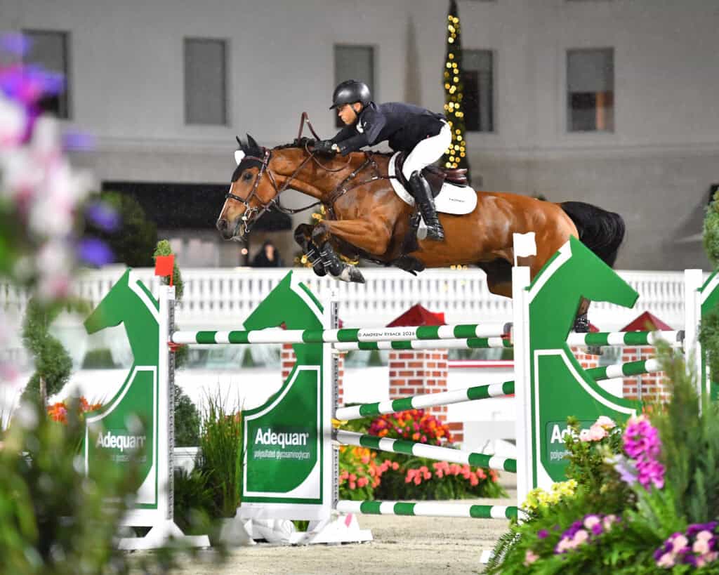 Grand Prix show jumping at World Equestrian Center Ocala