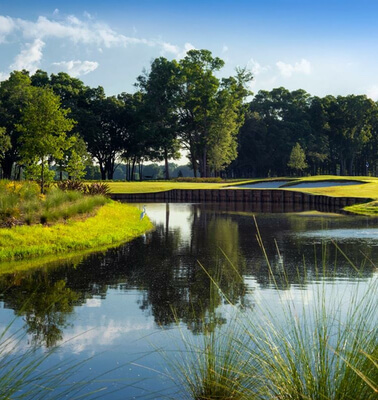 Ocala Preserve active adult community near World Equestrian Center