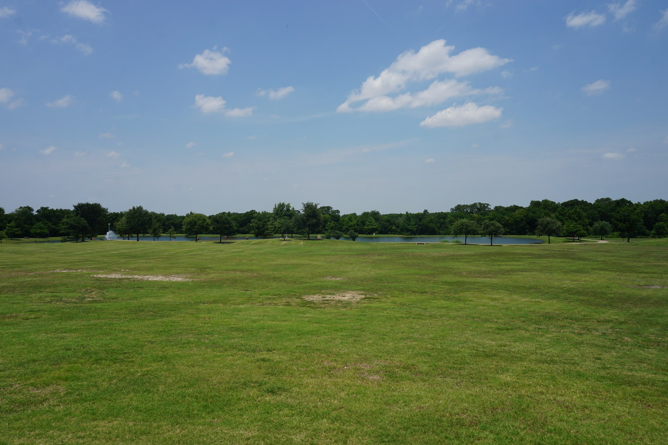 Frisco Commons Park pond and open lawn, photographed June 2019.