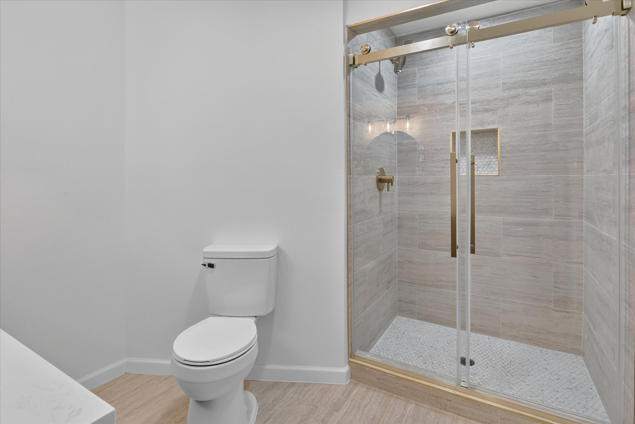 Walk-in shower with gold sliding door at 6020 E University Blvd Unit 117 Dallas