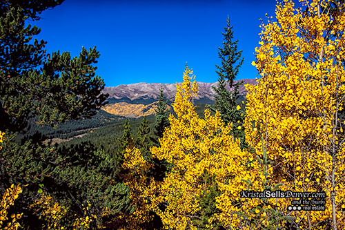 BoreasPass-2012