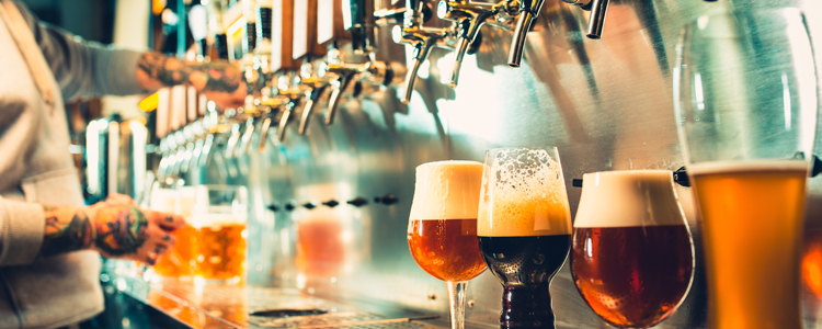 Craft Breweries IN Williams Bays, WI