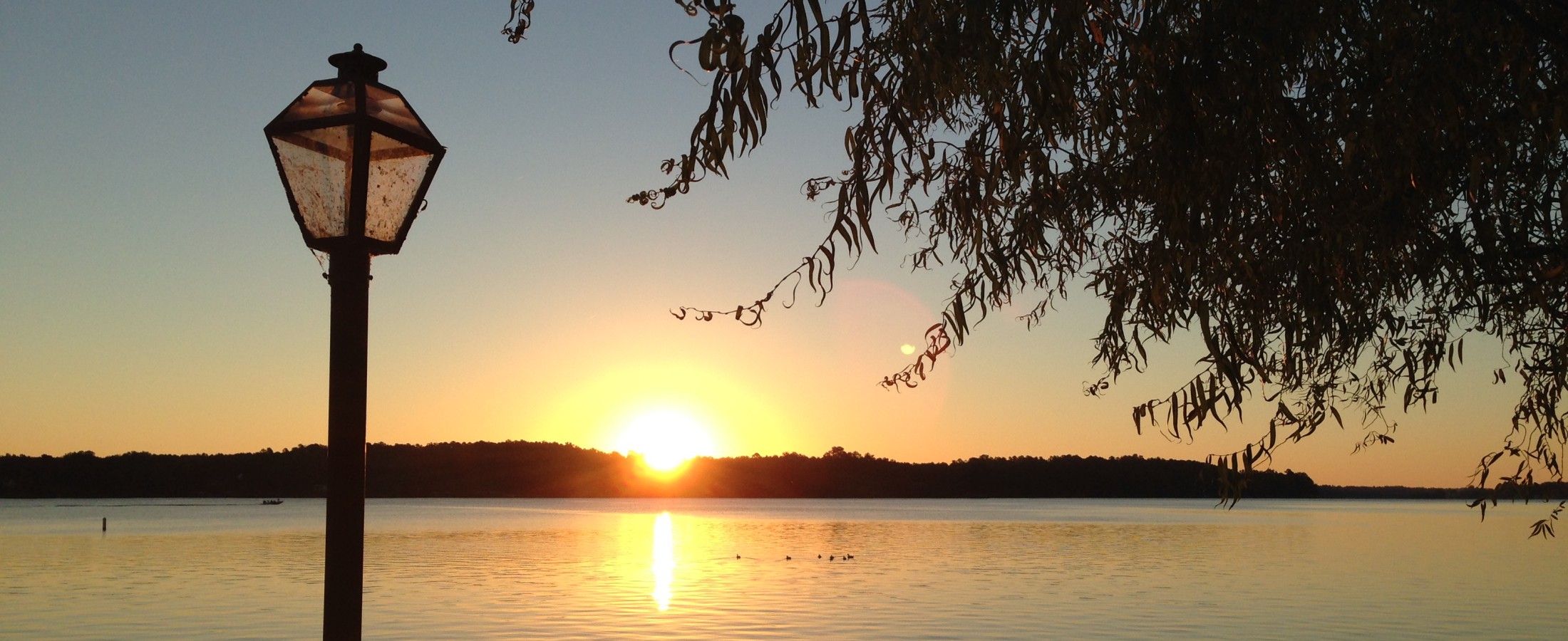 Planters Row Real Estate Planters Row Homes for Sale