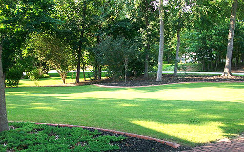 Manicured and Landscaped Yards in Creekside