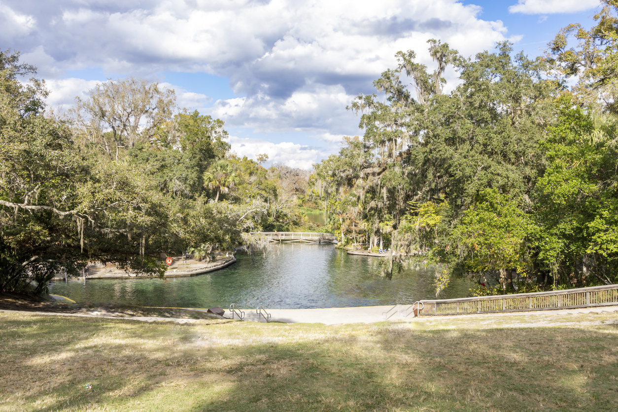 Clear blue water at a Central Florida spring