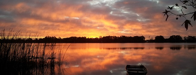 Lake Whippoorwill shoreline on the southeast side of Lake Nona