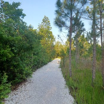 A paved trail through green space in Laureate Park, Lake Nona
