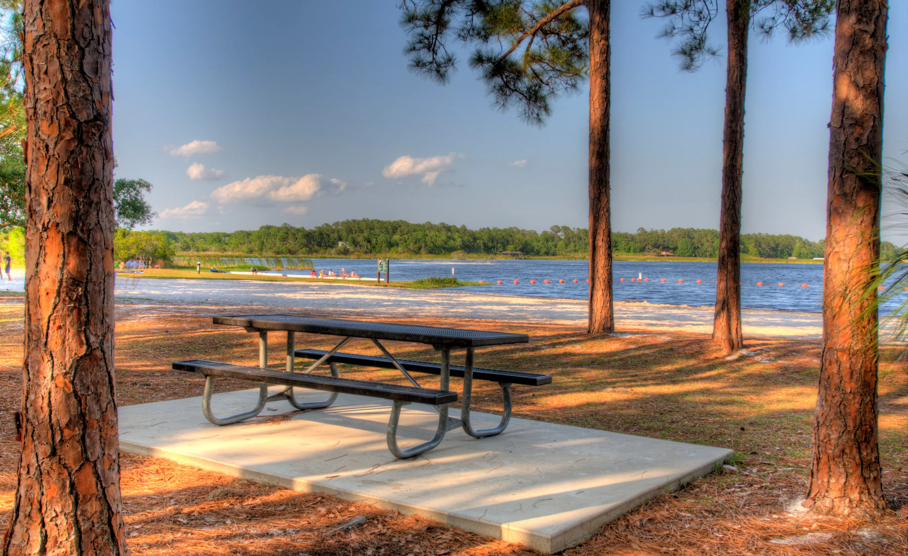 Picnic tables at Moss Park overlooking Lake Mary Jane in the Lake Nona area