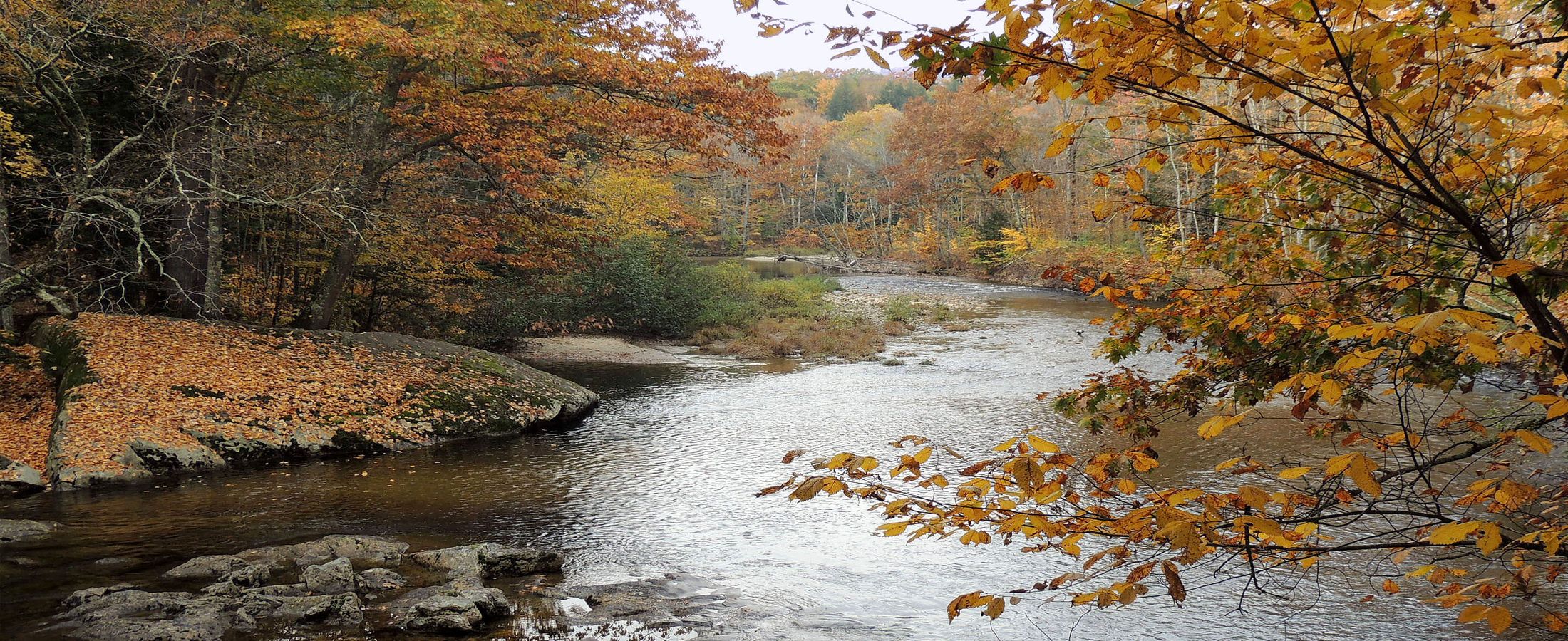 Waterfront Properties in Oxford County