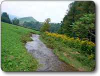 259-acres-ashe-county-nc