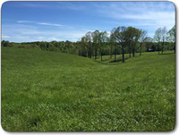 49 acres for sale wilkes county nc