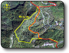 Brushy Mountain Land For Sale in NC