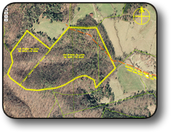 Large tract of land for sale near Wilkesboro