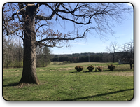 77 acres for sale in Hudson NC