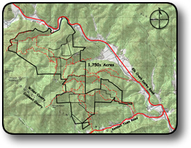 Home and Acreage For Sale in NC