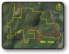 Large Acreage For Sale in Wilkes County NC