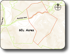 Mountain land with waterfall in Wilkes County NC