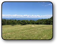 Acreage in Brushy Mountains Wilkes NC 88 Acres