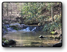 88 acres for sale in Wilkes County NC