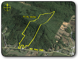 Wooded land for sale in Caldwell County NC