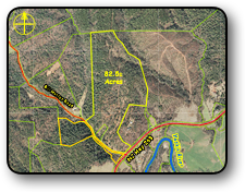 Large tract of land in Ferguson NC 82 acres.