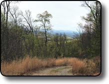 Affordable land with long-range views in Wilkes County NC