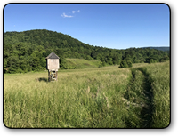 Farm for sale in Wilkes County NC 375 acres