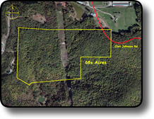 Hunting land for sale in Brushy Mountains NC