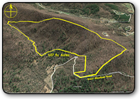 107 Acres for sale in Moravian Falls NC