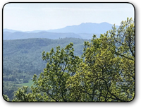 Mountain land for sale in Brushy Mountains