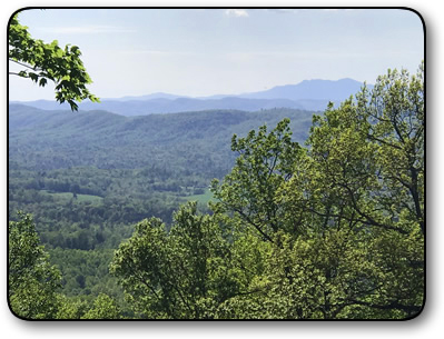 Wooded land for sale in Brushy Mountains