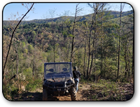 Affordable land for sale in Wilkes County NC