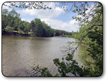 Lakefront Property For Sale in Alexander County NC