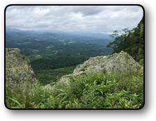 Mountain land for sale in Ashe County NC 252 acres