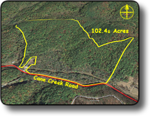 Wooded land for sale in Wilkes County NC
