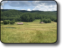 Horse farm for sale in Wilkes County NC