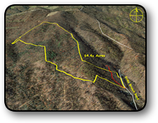 Mountain land for sale in Watauga County NC 64 Acres