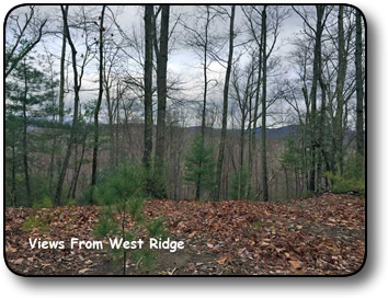 Acreage for sale on Mertie Road