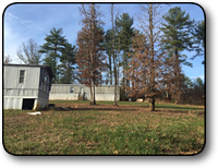 Small acreage for sale in Wilkes County NC
