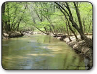 Affordable creekfront acreage for sale in Wilkes County NC