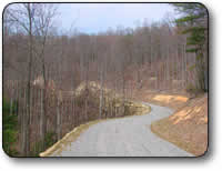 Large tract of land for sale in Wilkes County NC