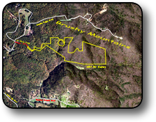 Brushy Mountains acreage for sale 107 acres
