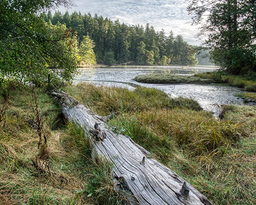 Metchosin Real Estate