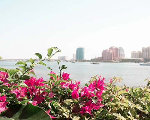 Palm Beach Homes for Sale