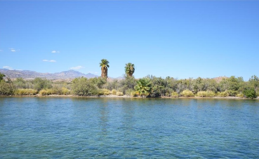 Riverfront Colorado River Bullhead City Real Estate