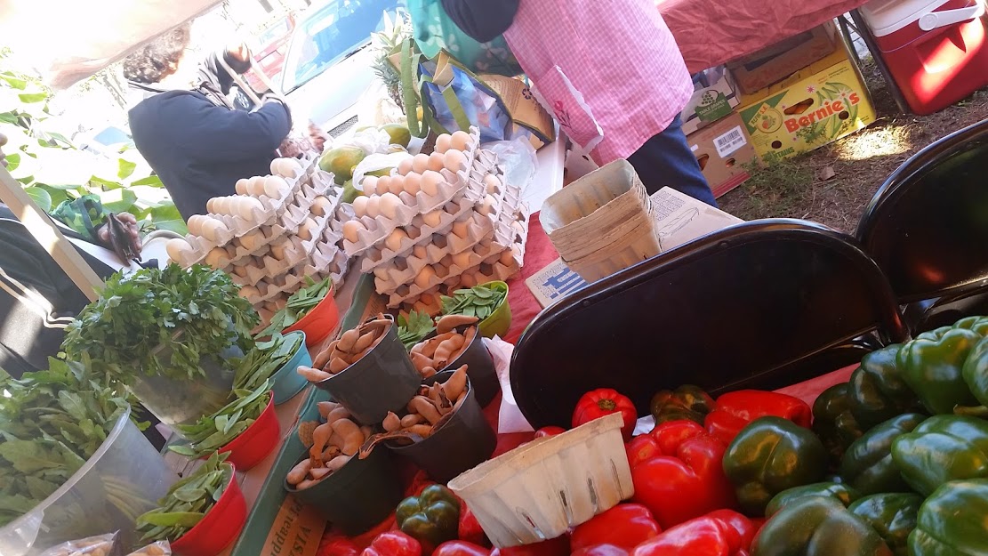Coconut Point Farmers Market