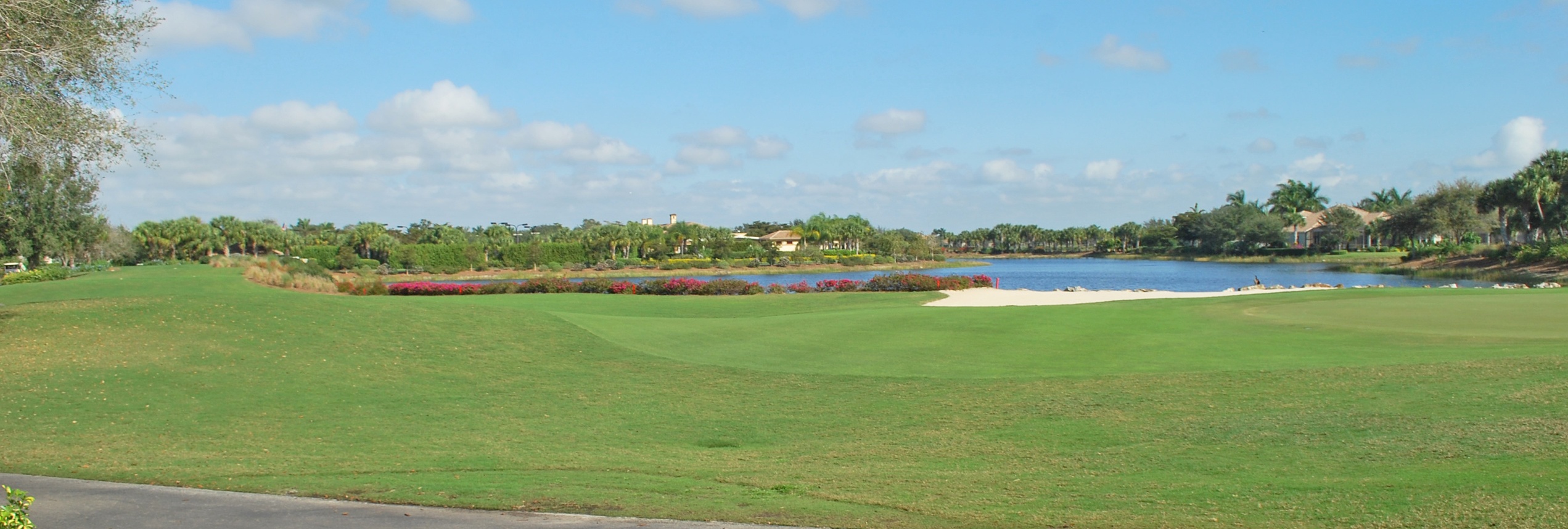 Copperleaf at The Brooks Homes For Sale